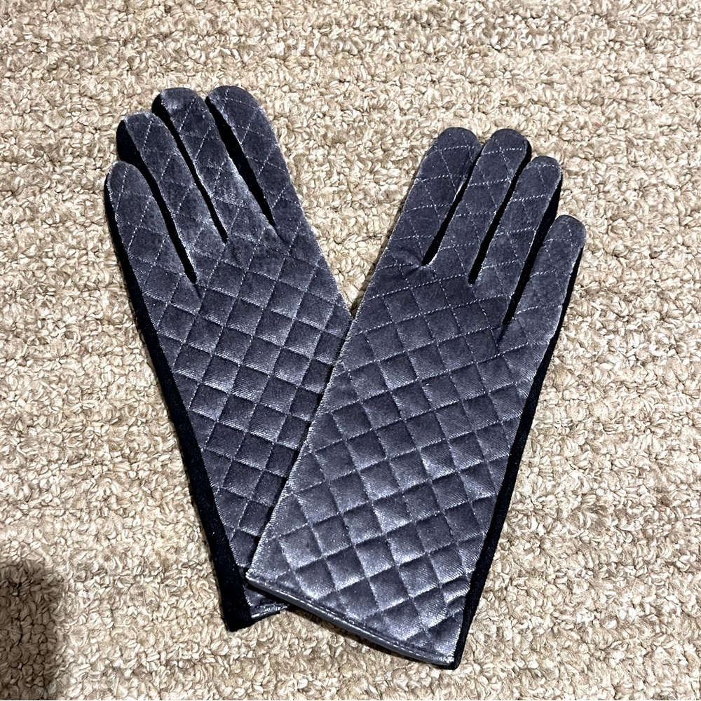 Shiny Silver Gloves